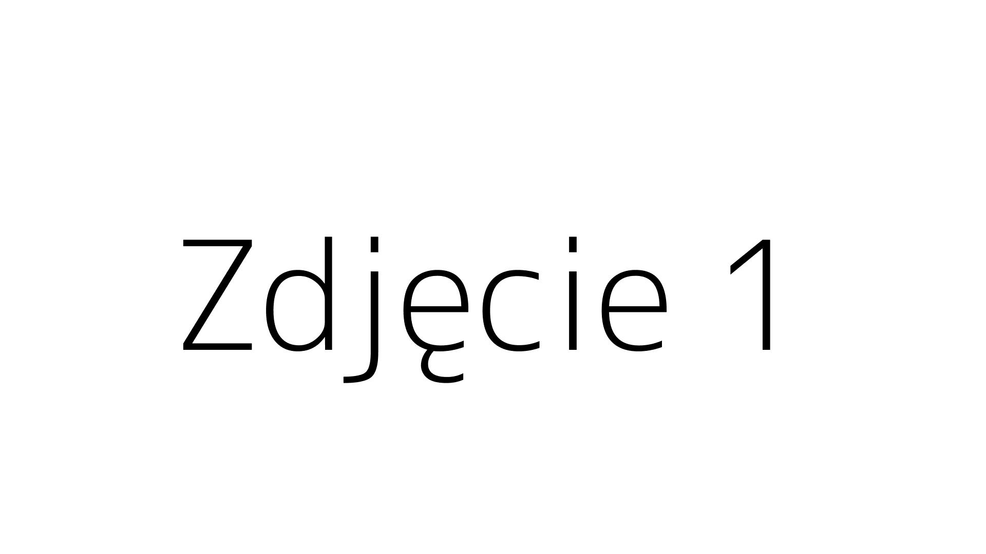 Zdjęcie 1